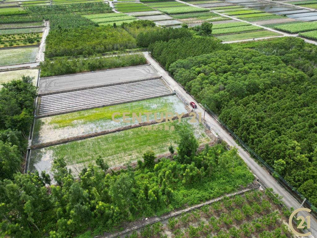 鹿野平地造林農地