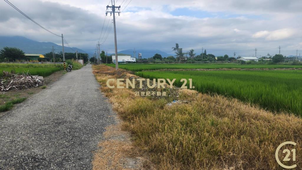 開發隊近建農路農地