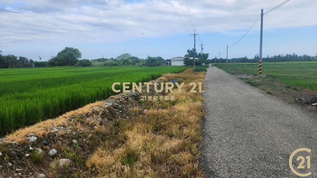 開發隊近建農路農地