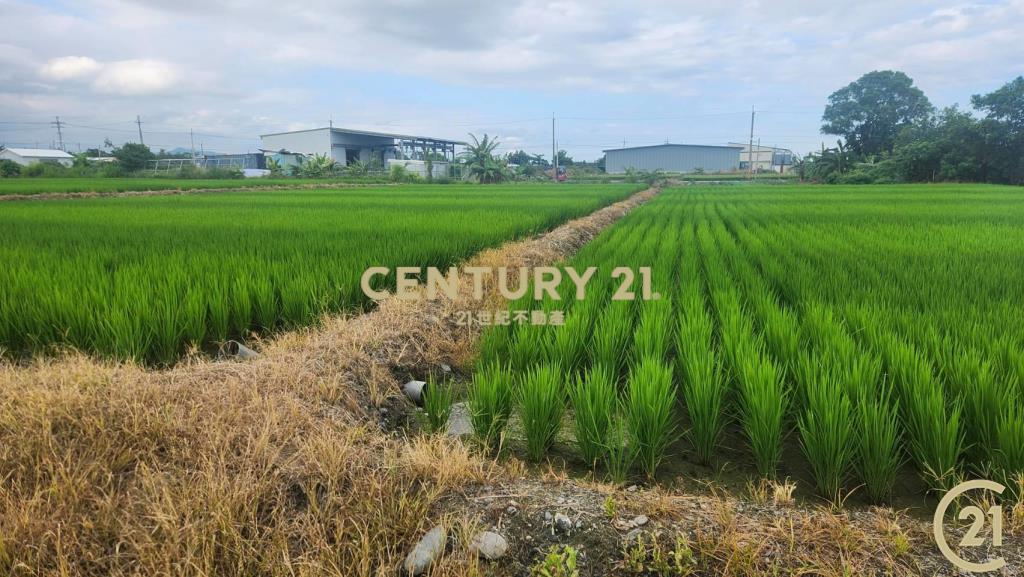 開發隊近建農路農地