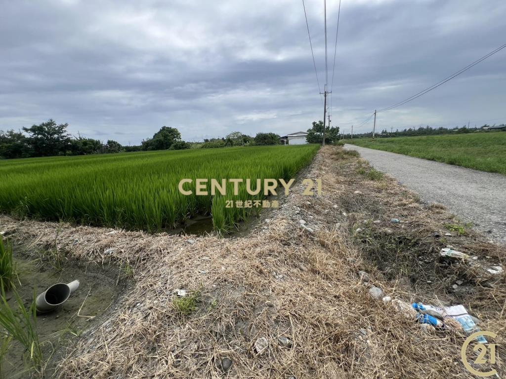 開發隊近建農路農地