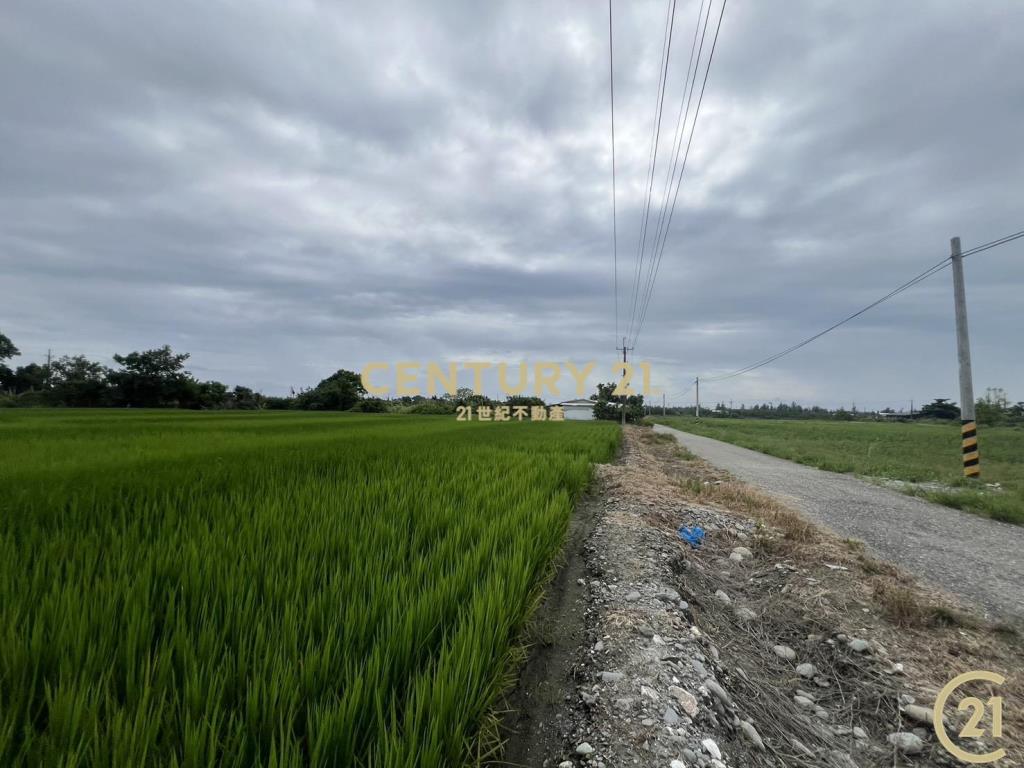 開發隊近建農路農地