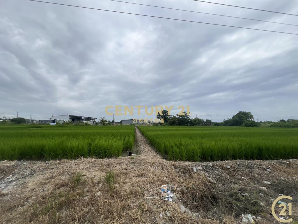 開發隊近建農路農地