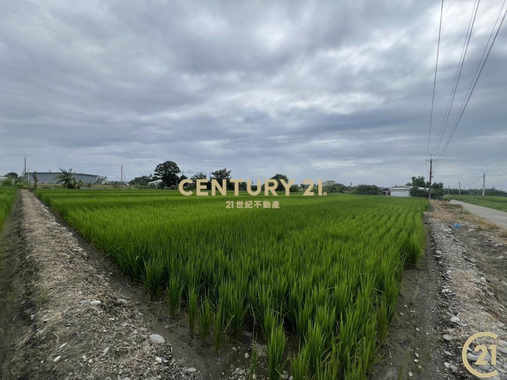 開發隊近建農路農地