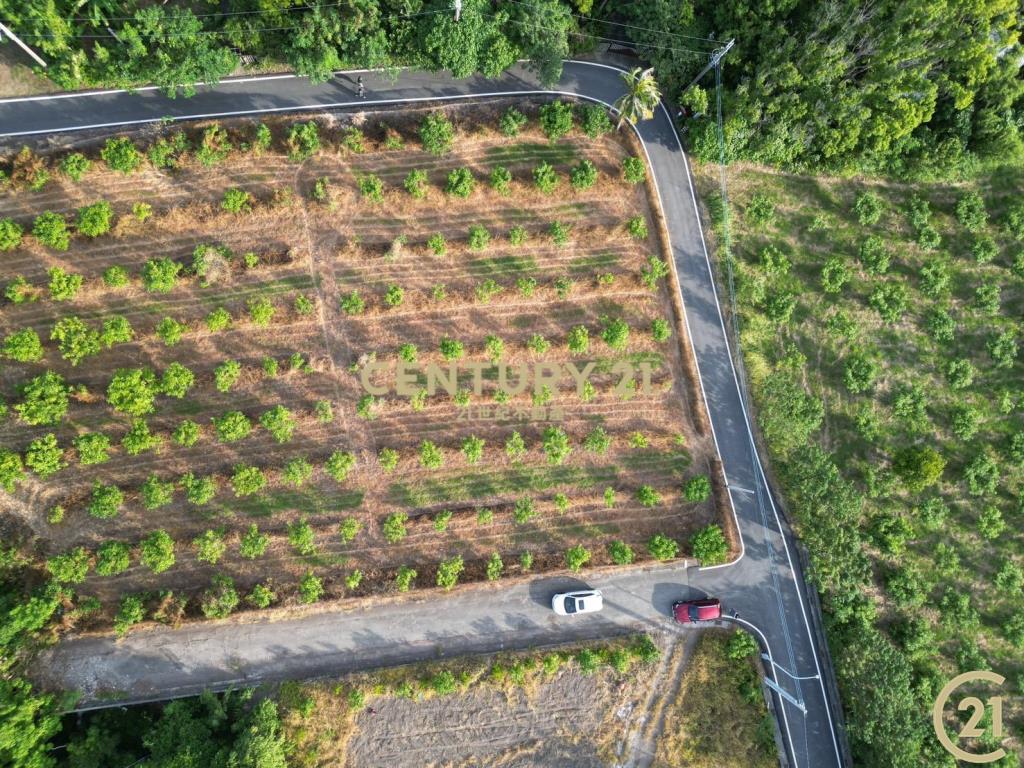 東河隆昌三面臨路果園