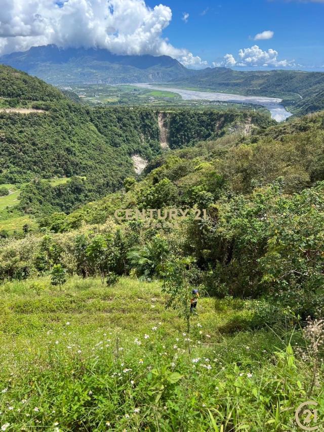 延平大筆原保地