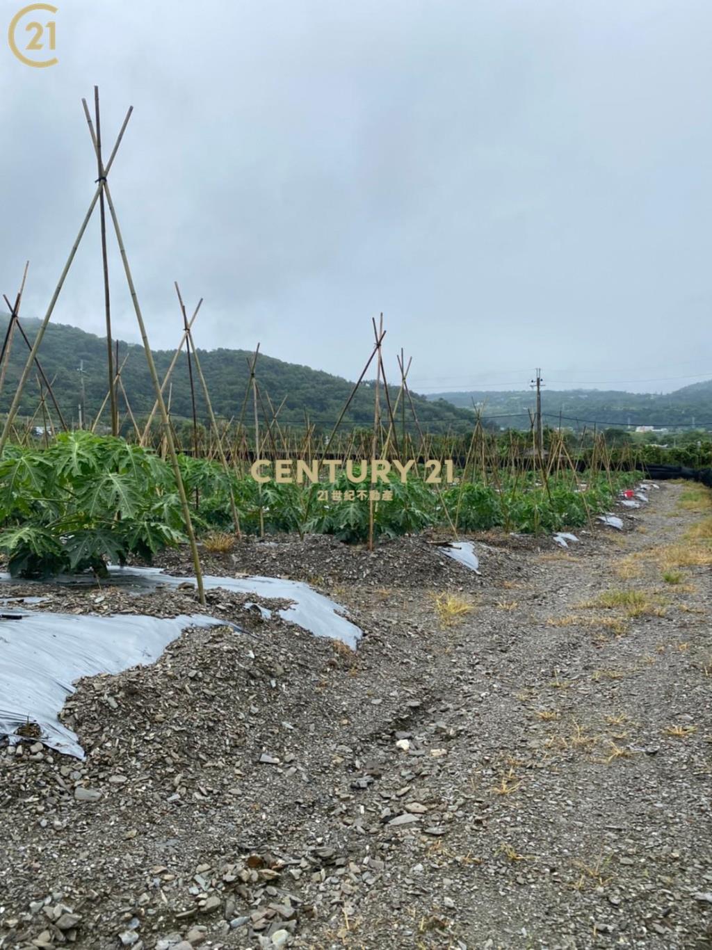 斑鳩三臨路美農地