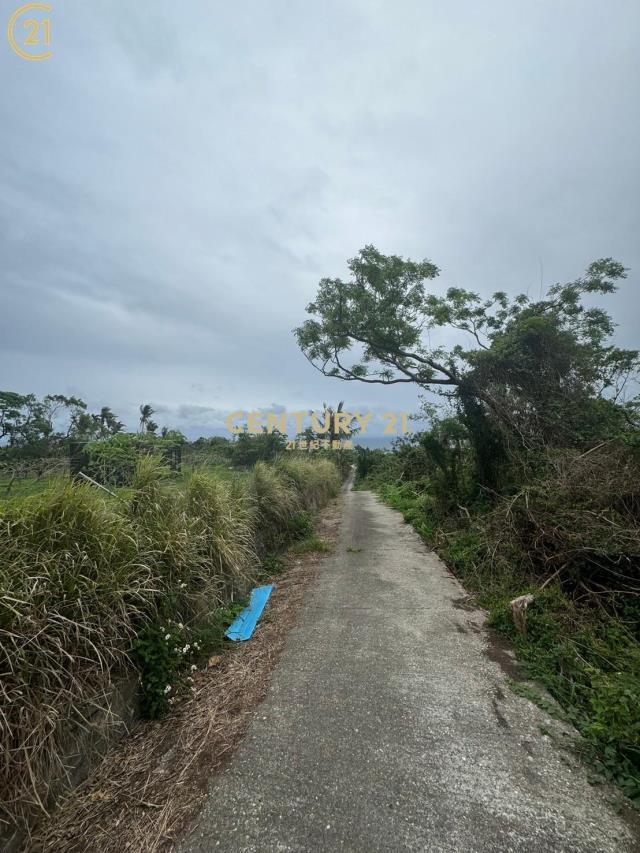 東河看海美農地