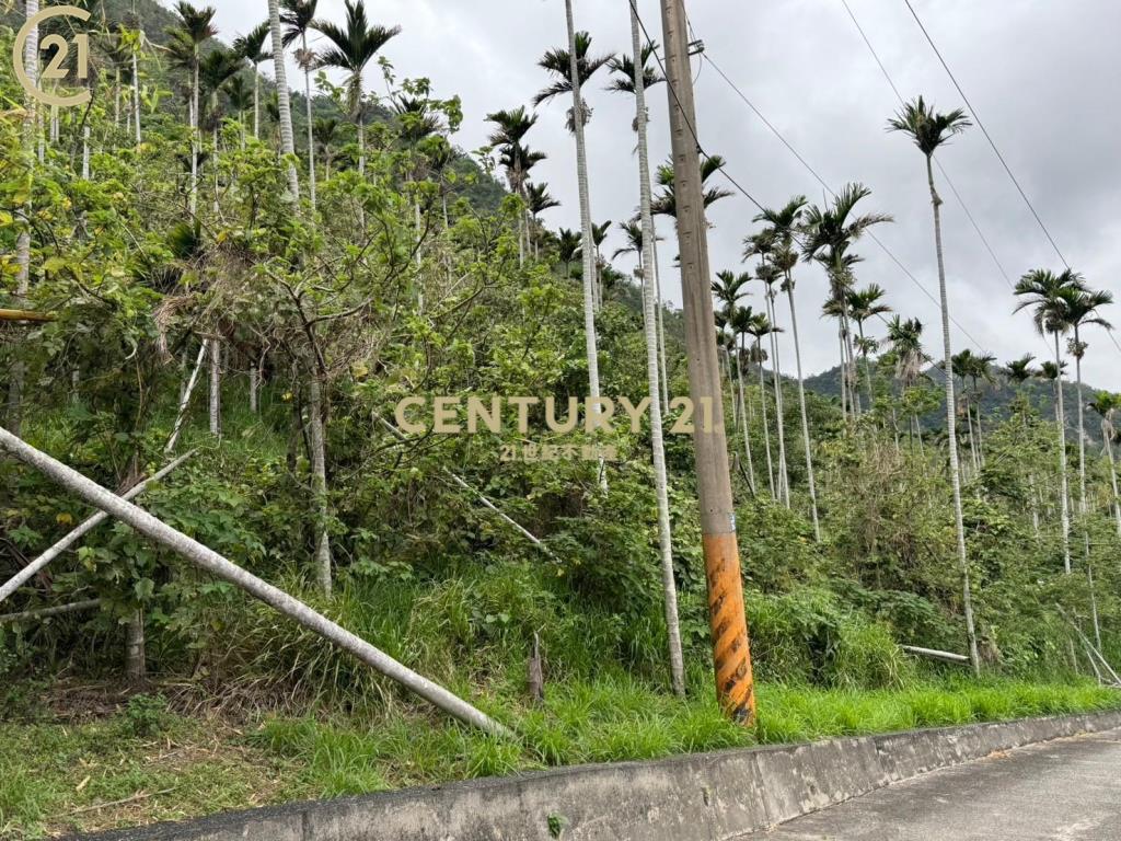 都歷望海美農地