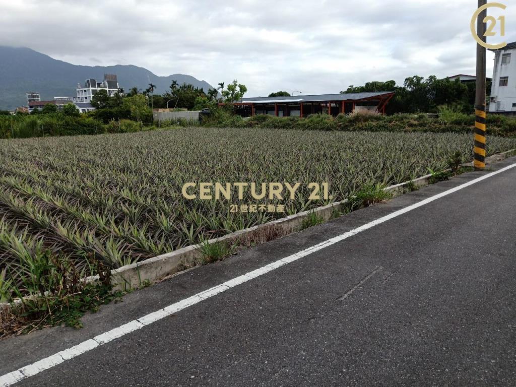 鹿野龍田大草原農地-農縱09