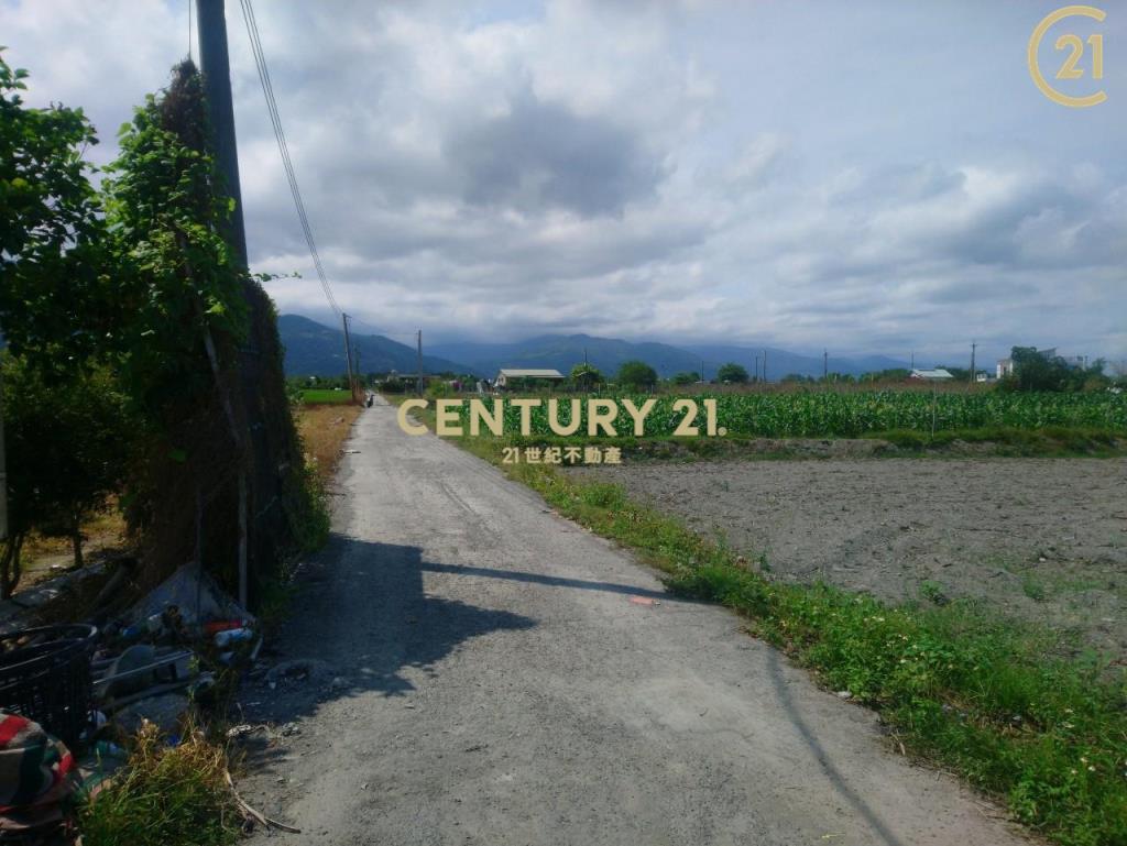 知本路二段農地3.09台分-農市63