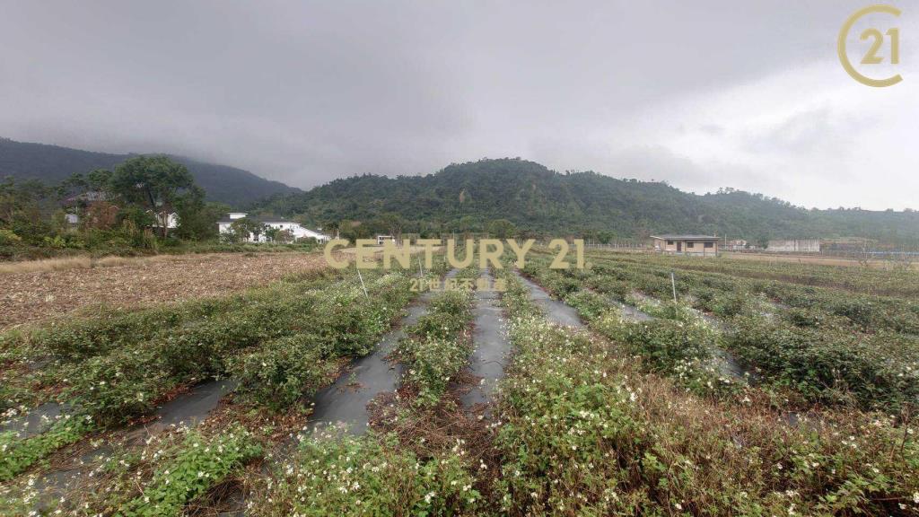 龍田大草原雙面臨路都計內農地-農縱20