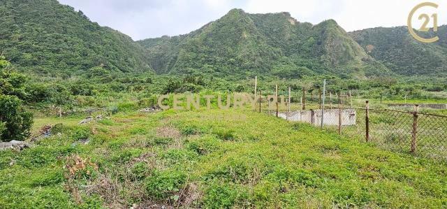 綠島農建地-建25