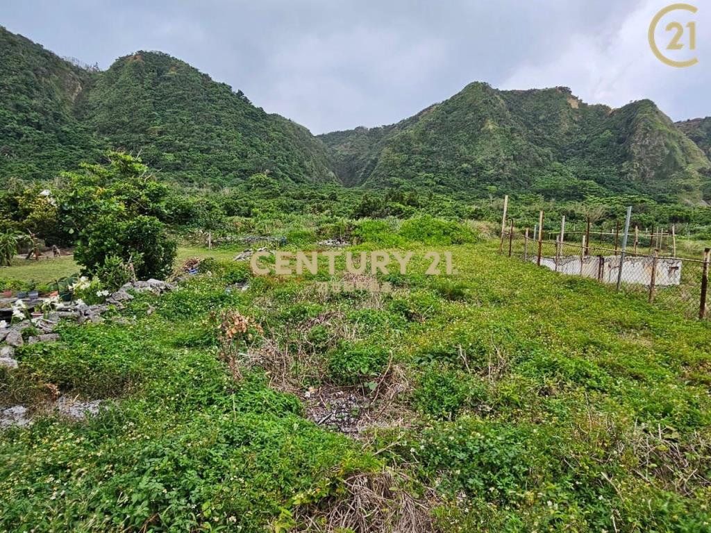 綠島農建地-建25